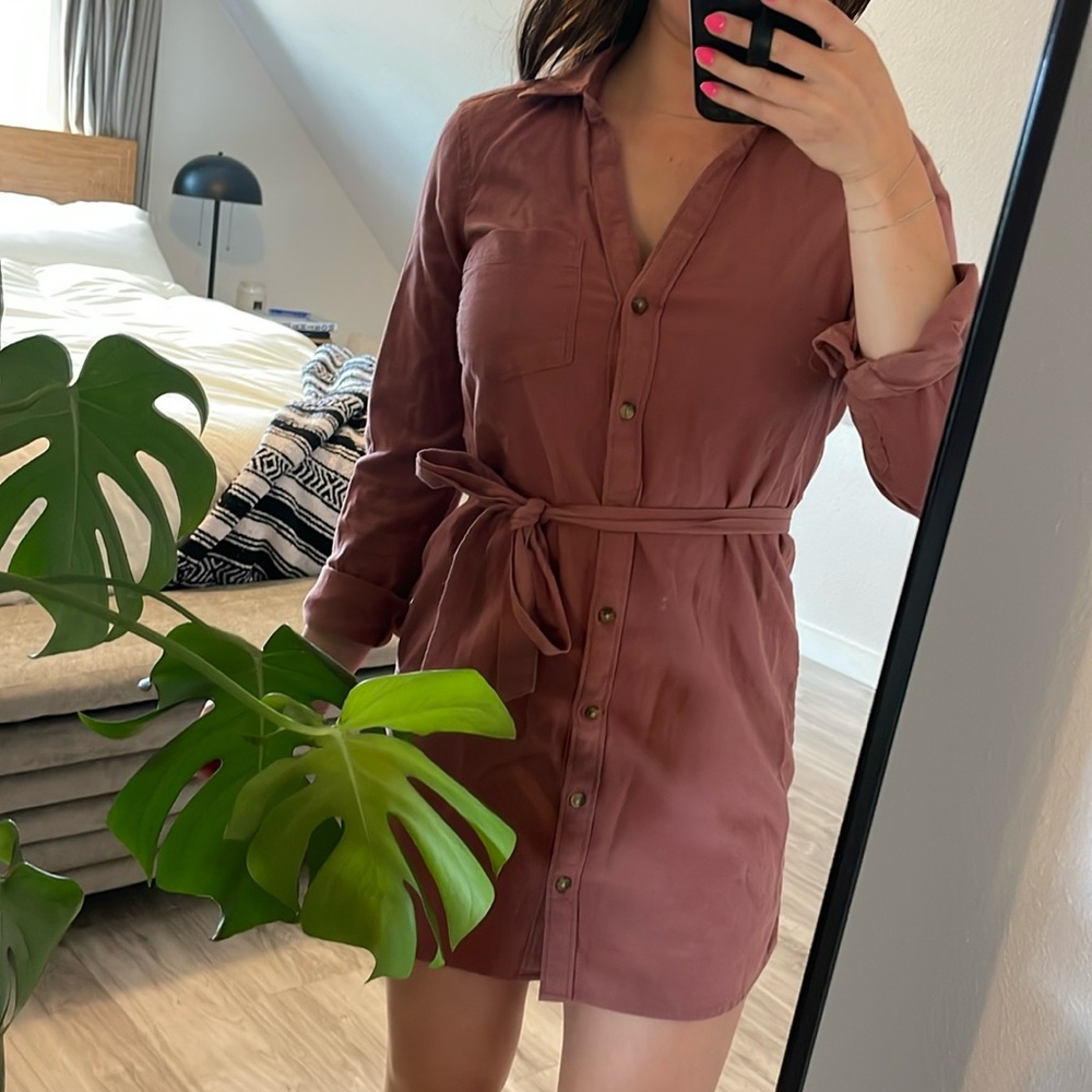 Rust button down dress